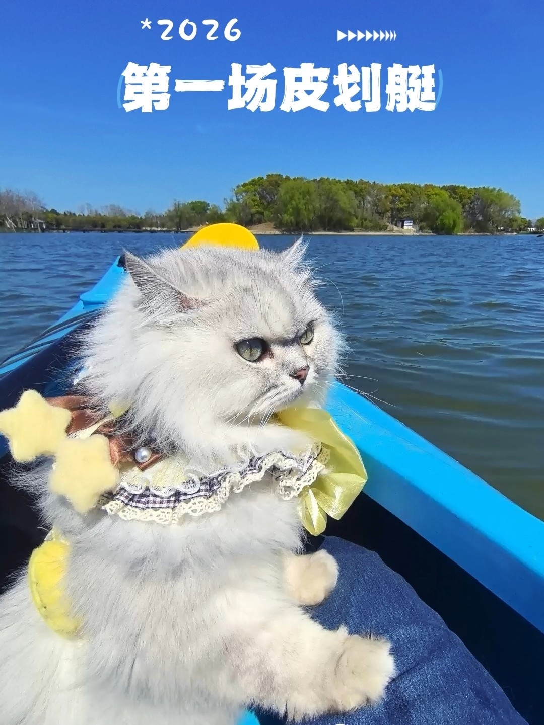 谁说皮划艇不能带猫