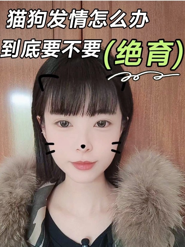 发情期又到了👀毛孩子家长们准备好了嘛