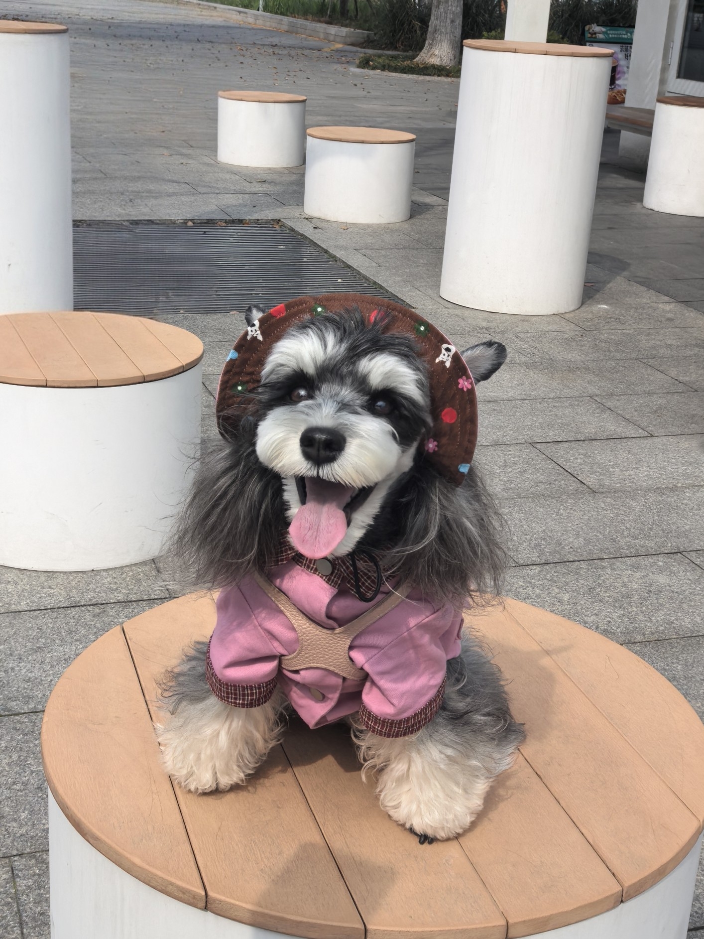 我儿像来方正～～