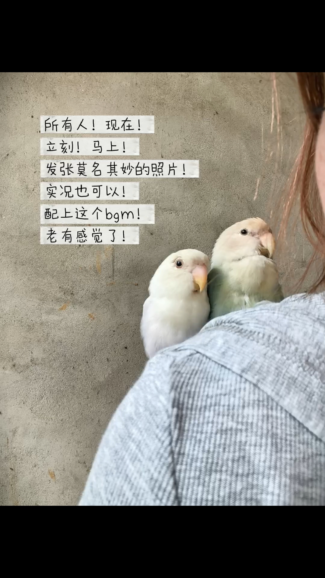 啊啊啊超可爱的歪头！