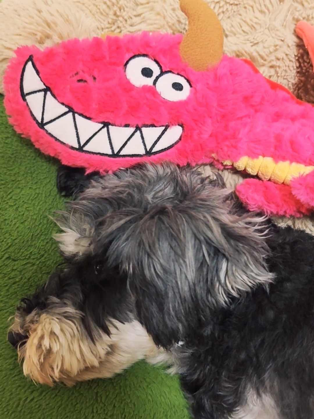 喂？你怎么在我头顶呢？