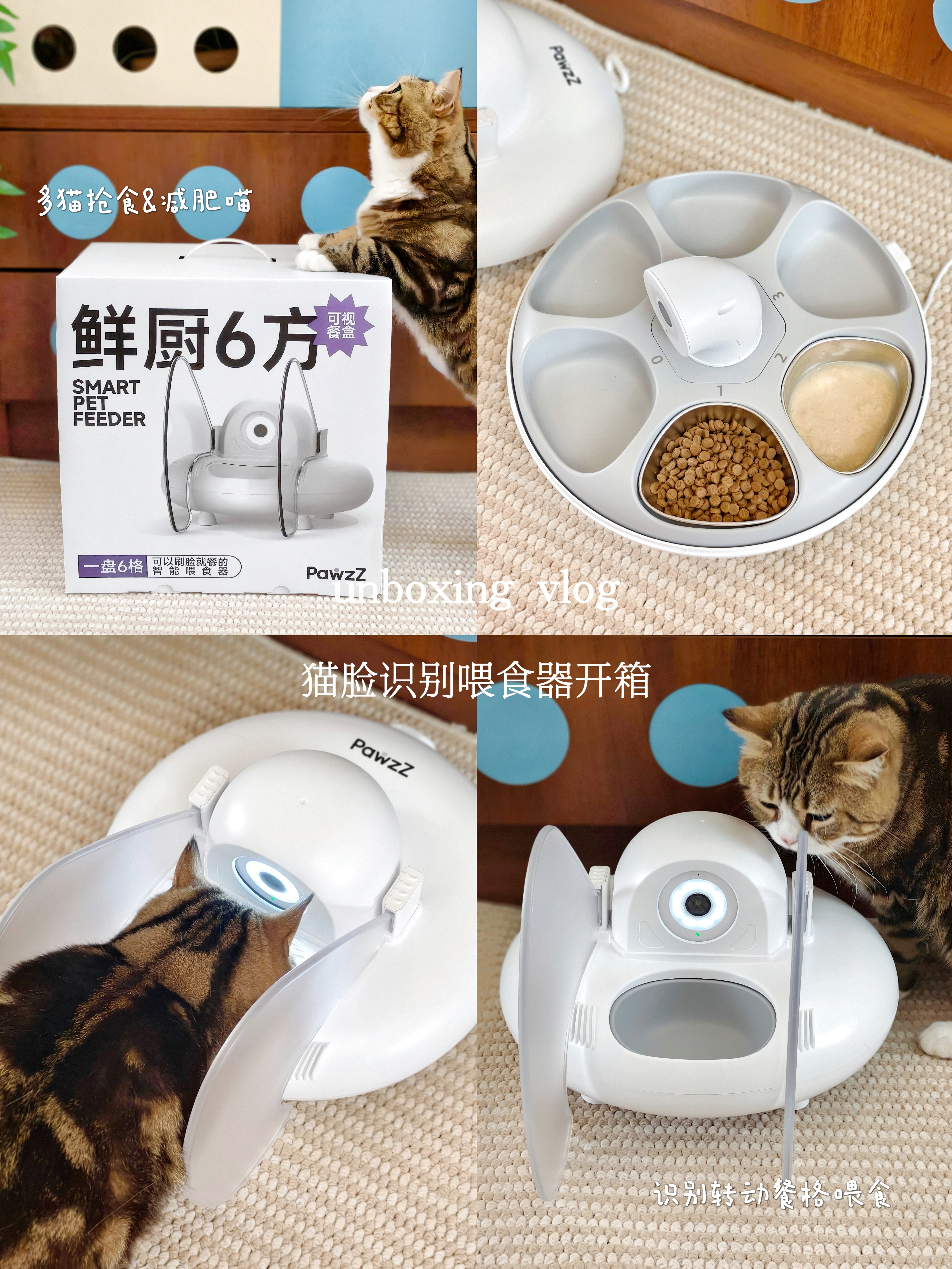 share·这个猫脸识别喂食器有点东西的！