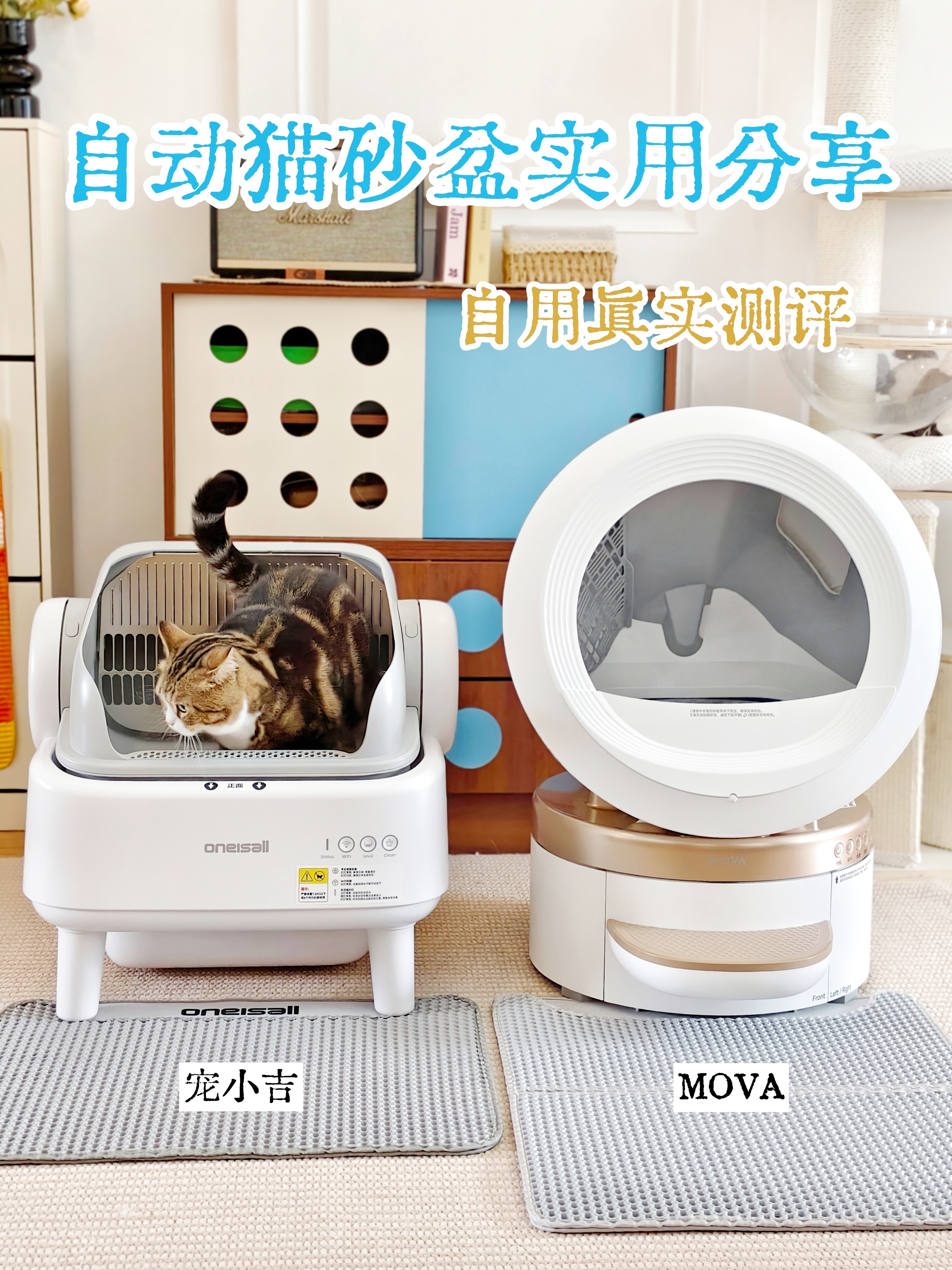 多猫家庭自动猫砂盆，2款自用+测评！