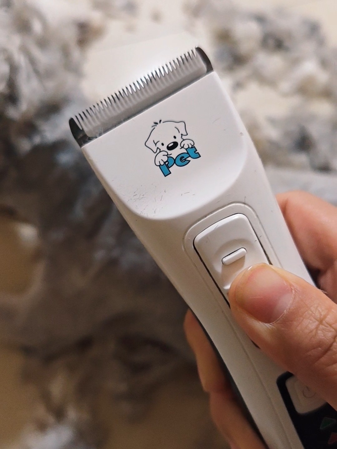养久了宠物，咋不咋都得配备一件剃毛器