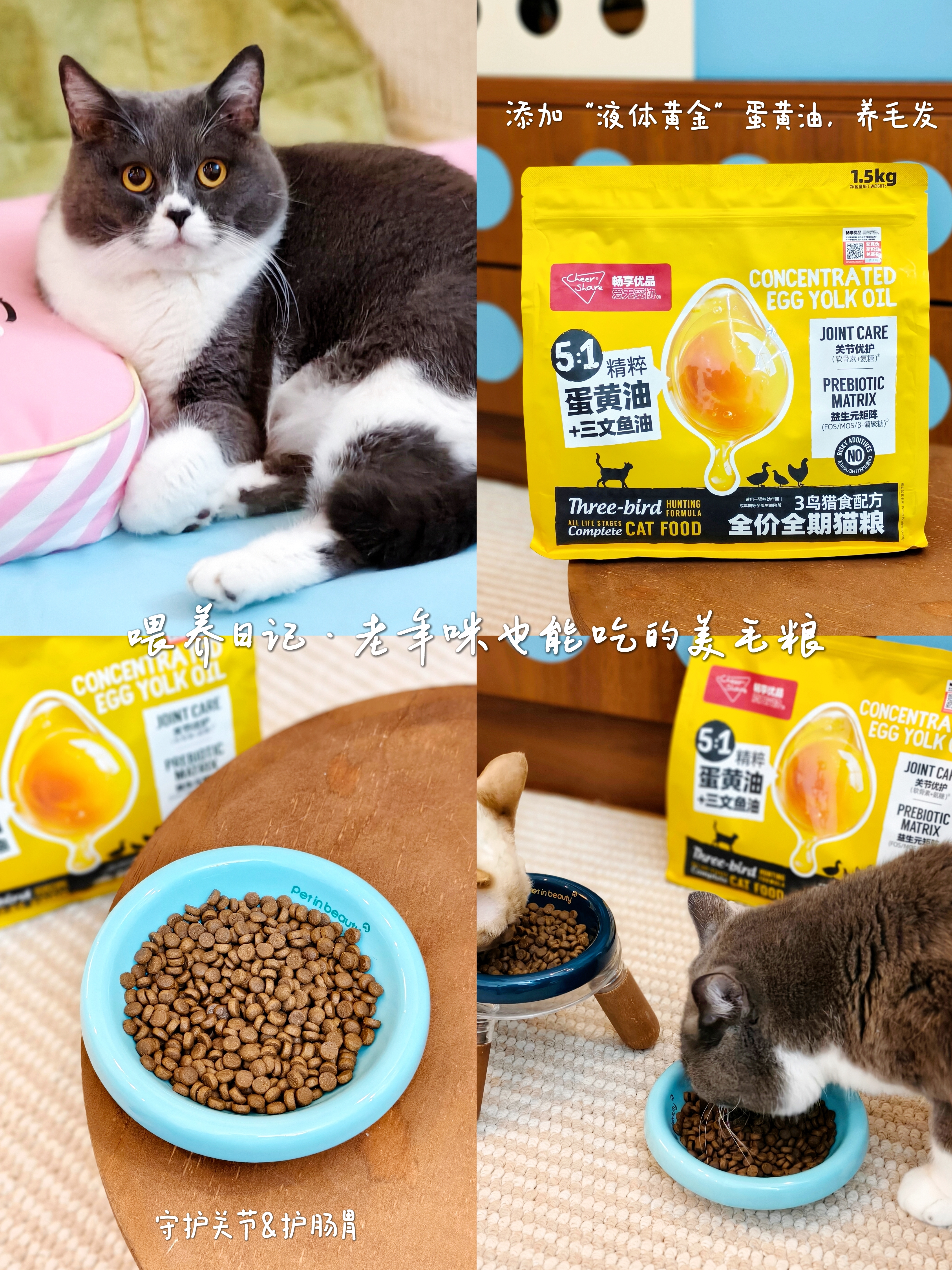 喂养日记·老年猫也能吃的美毛粮！