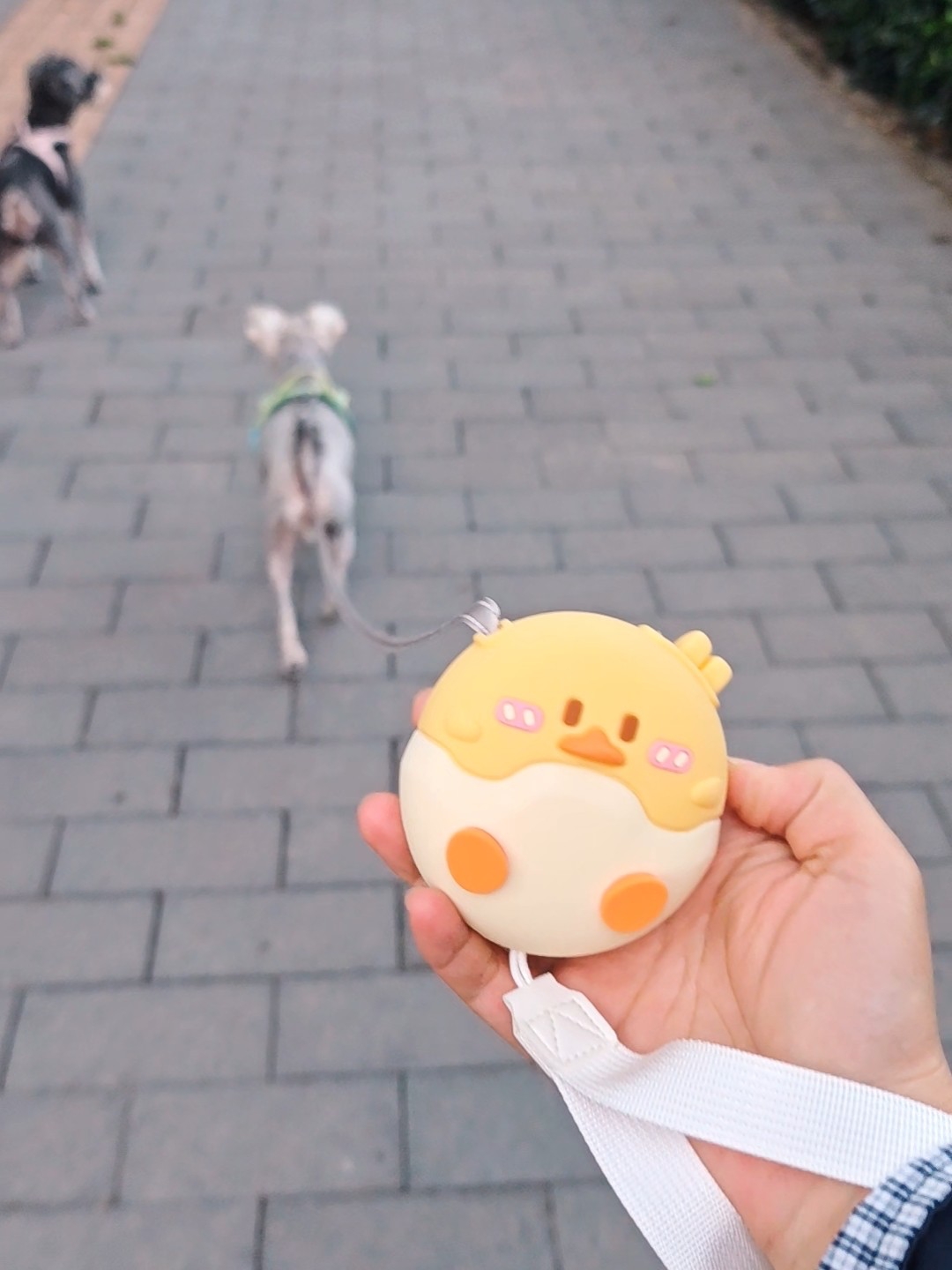 好可爱的小鸭子伸缩牵引绳