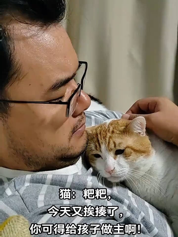 一天天老委屈了