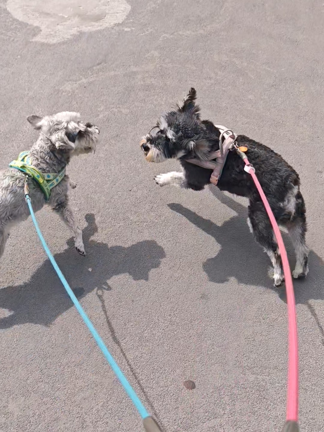 总是在马路上来感觉