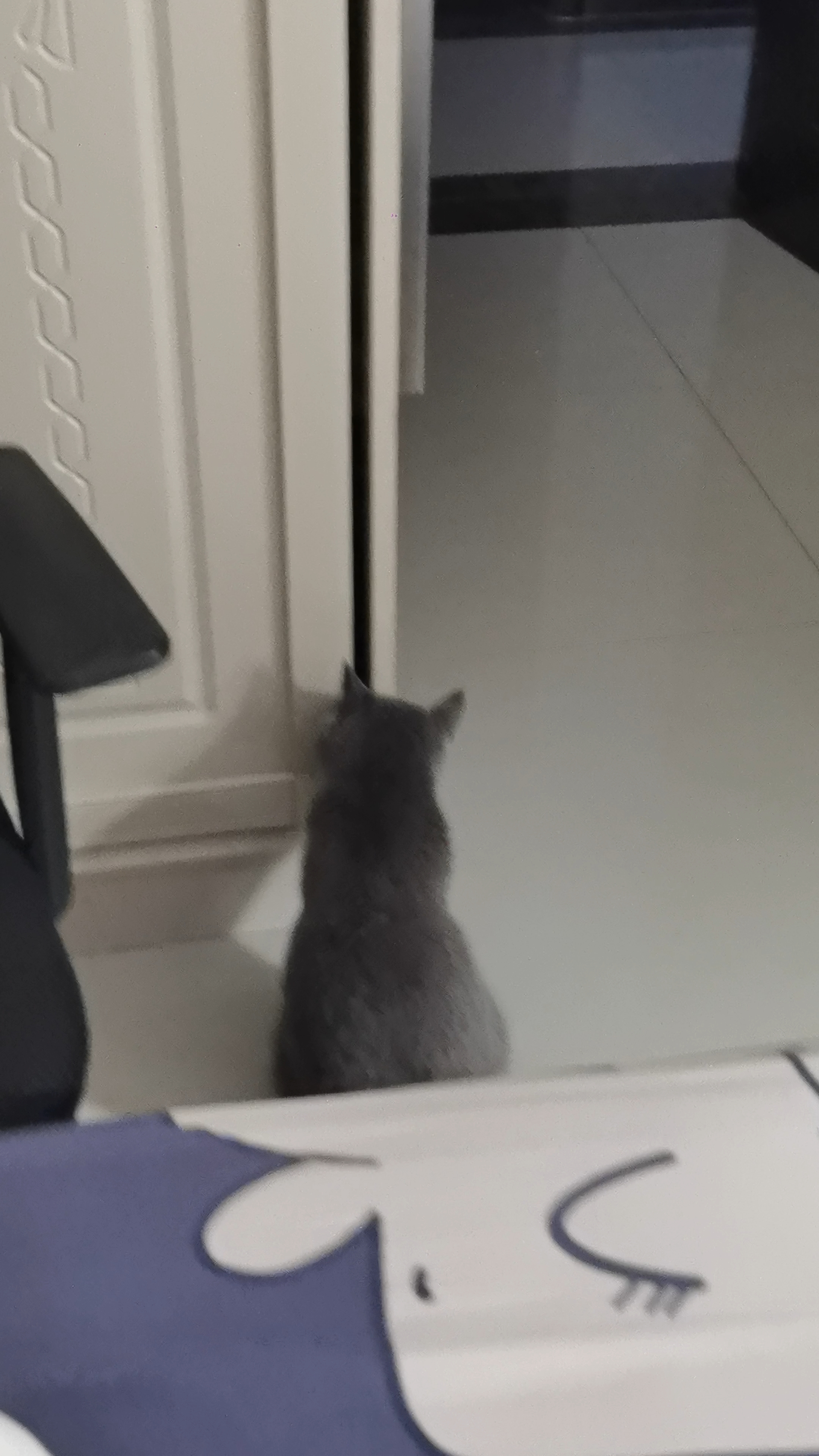 我家猫最近不知道哪根筋搭错了，迷上了开衣柜门。  前阵子它成功过一次，躺里面睡了一下午，被我抓出来的时候一脸不服。从那以后，每天固定的节目就是蹲在衣柜门口，研究怎么把门扒开。  今天终于被我逮到现场直播了。  它先是站起来用爪子扒门缝，扒了半天没扒开。然后换了个姿势，把脑袋塞进缝里试图拱开，结果脑袋是进去了，身子卡在外面。再然后它开始用后腿蹬柜门借力，整只猫挂在上面晃来晃去，衣柜被摇得哐哐响，门纹...