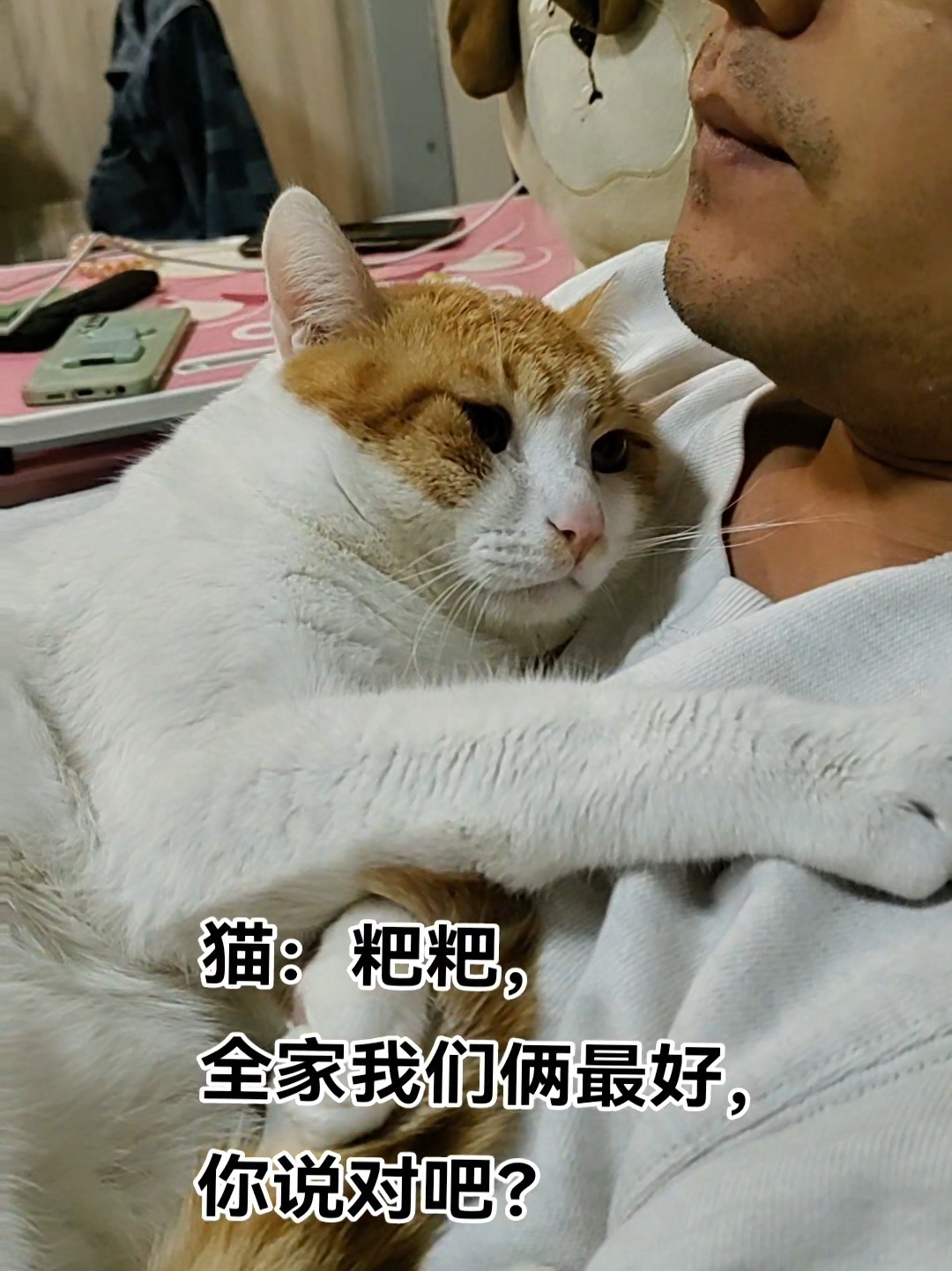 全家我们俩最最好