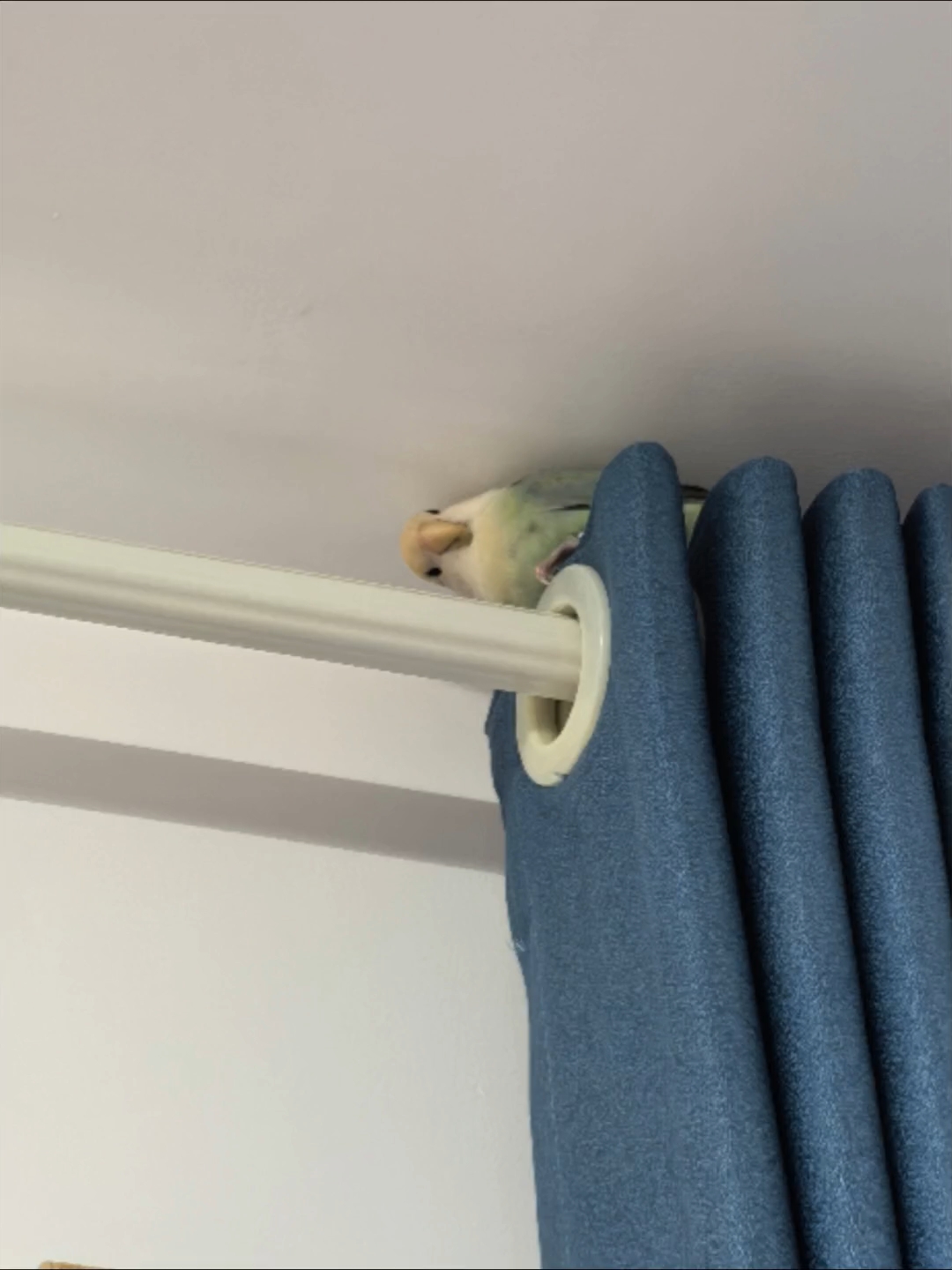 人！玩的就是心跳～