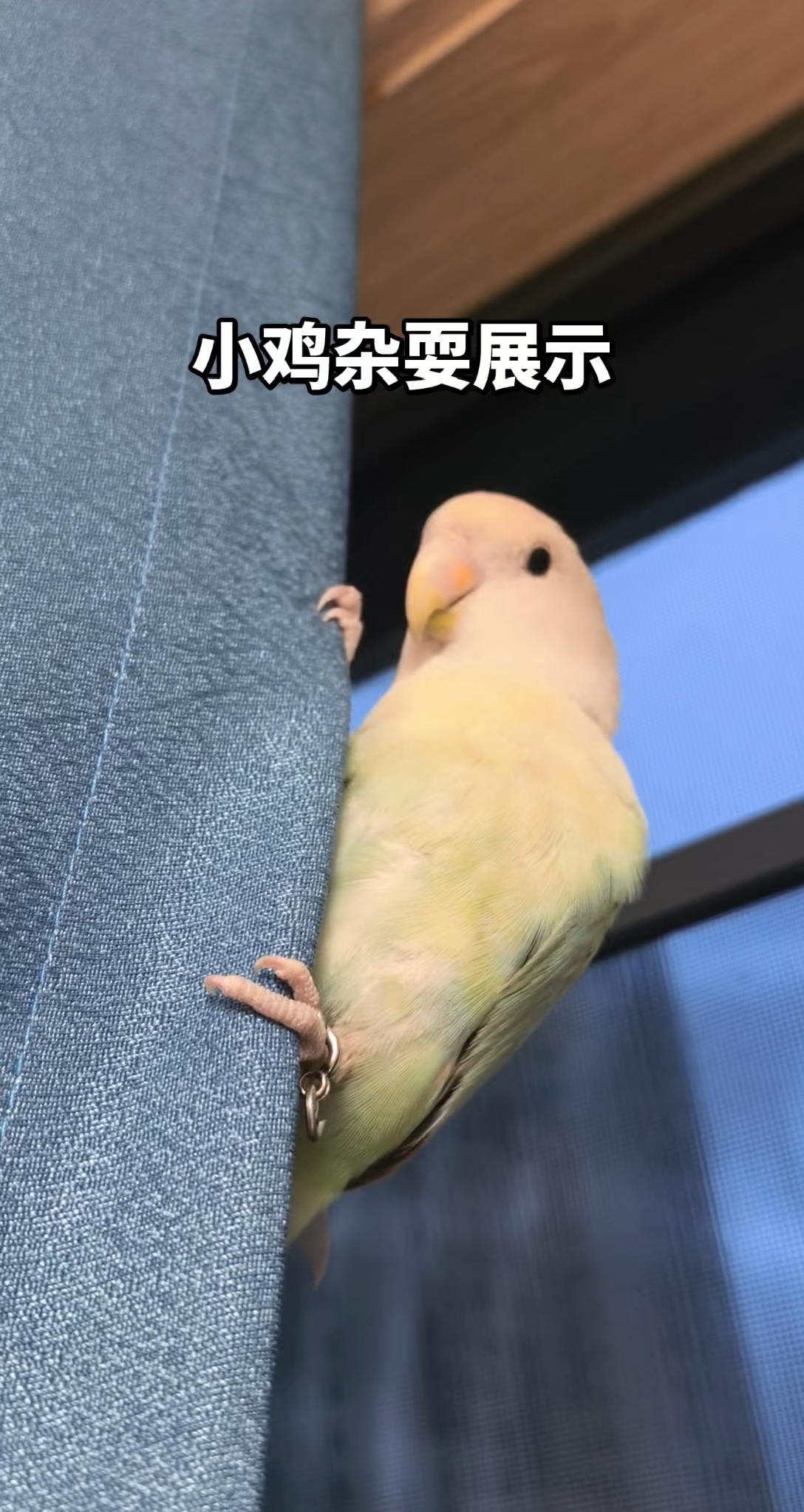 也就练了30s吧……