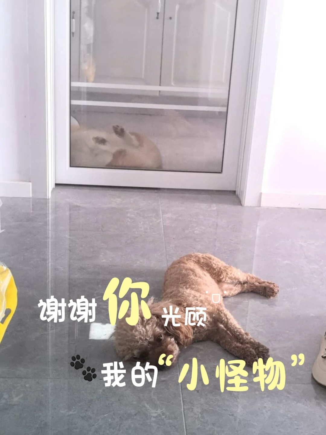 谢谢你光顾我的小怪物