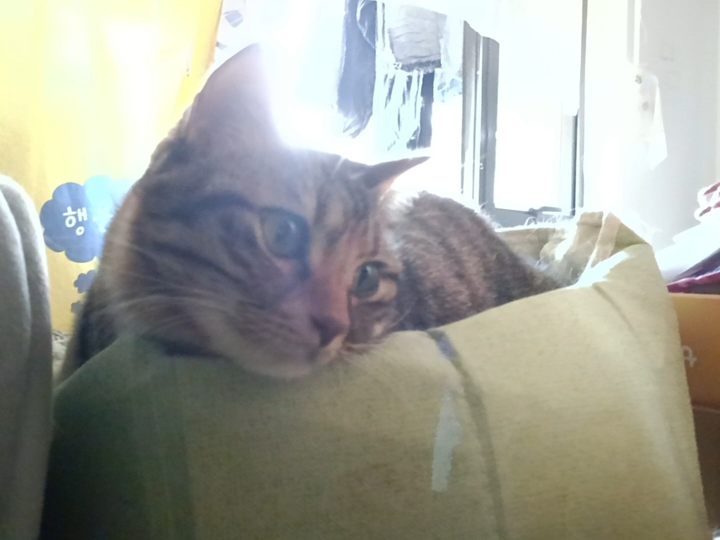 光影的重要性呀