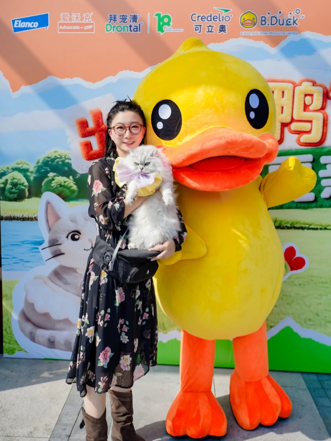 30只猫咪的聚会也太治愈了吧！