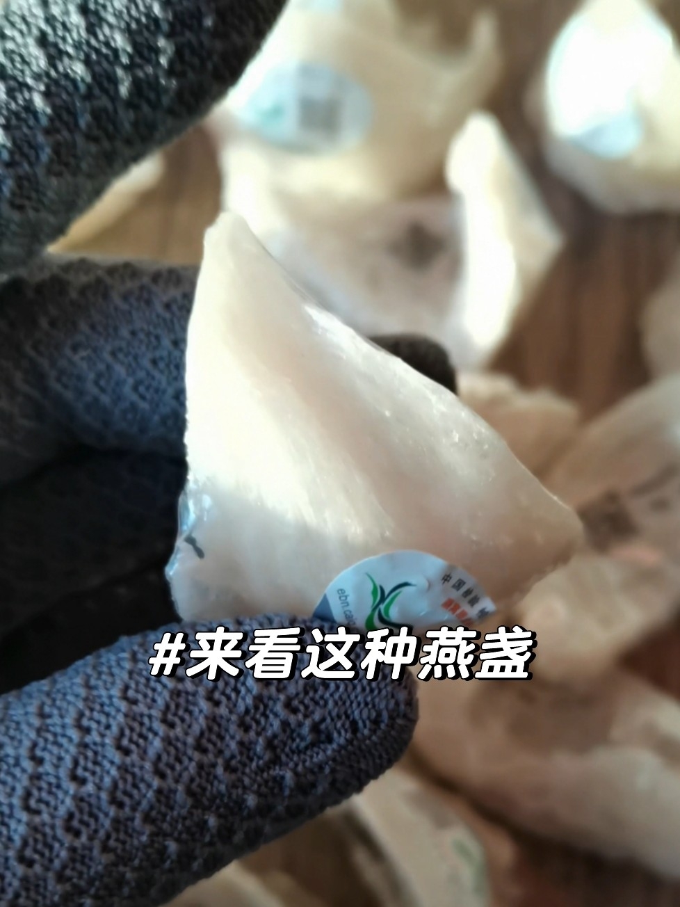 还有谁不会选燕窝？这种燕盏直接抄作业就行