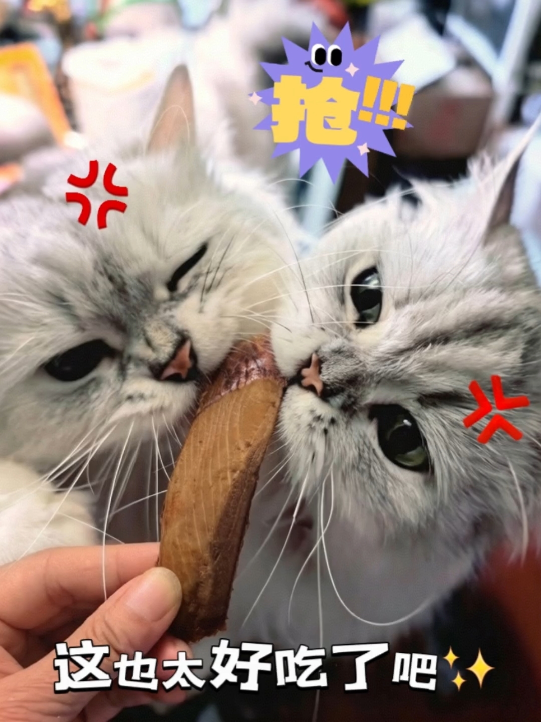 ✅铲屎官看这里！它博会宝藏展位收藏好！