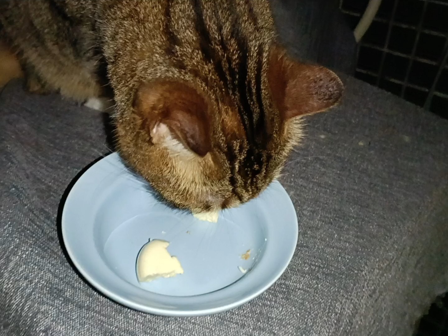 不喜欢就是不喜欢