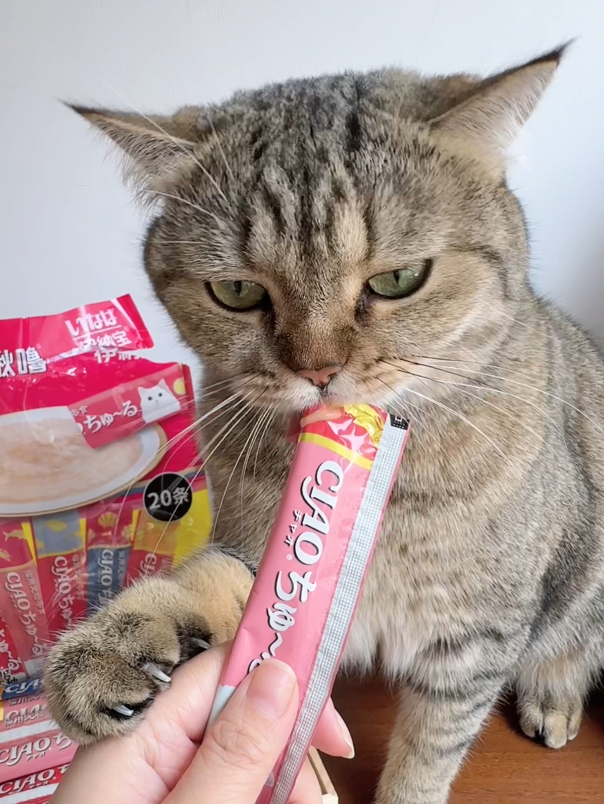 猫条适口性很好，猫猫爱吃的很。
