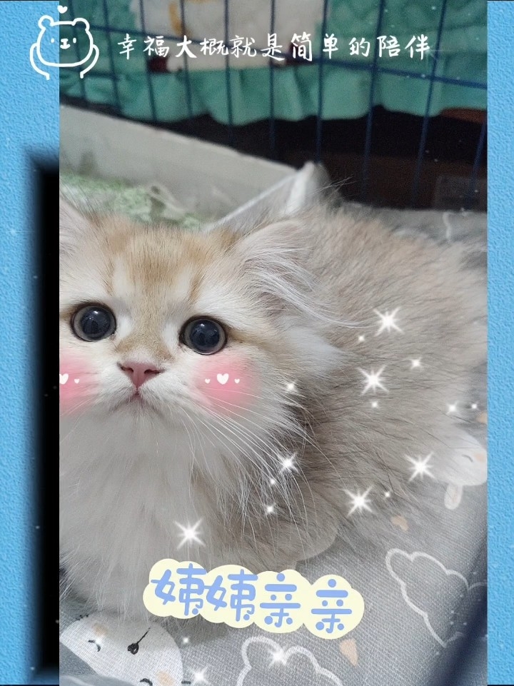 hiyiqq