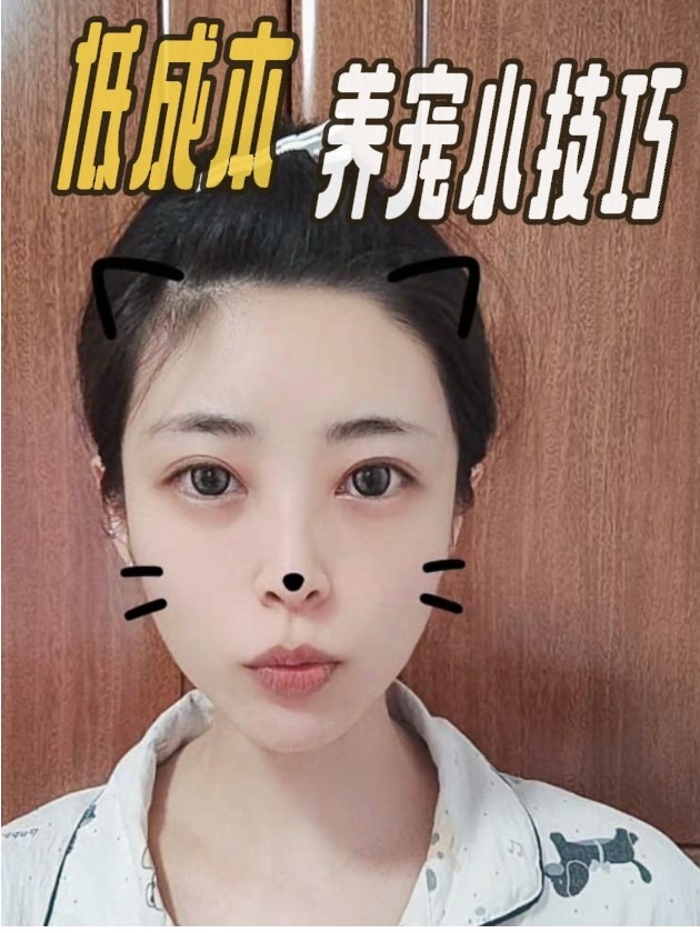 低成本养宠小技巧🐶🐱你get了嘛
