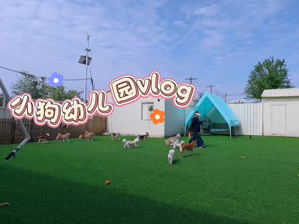 幼儿园的vlog