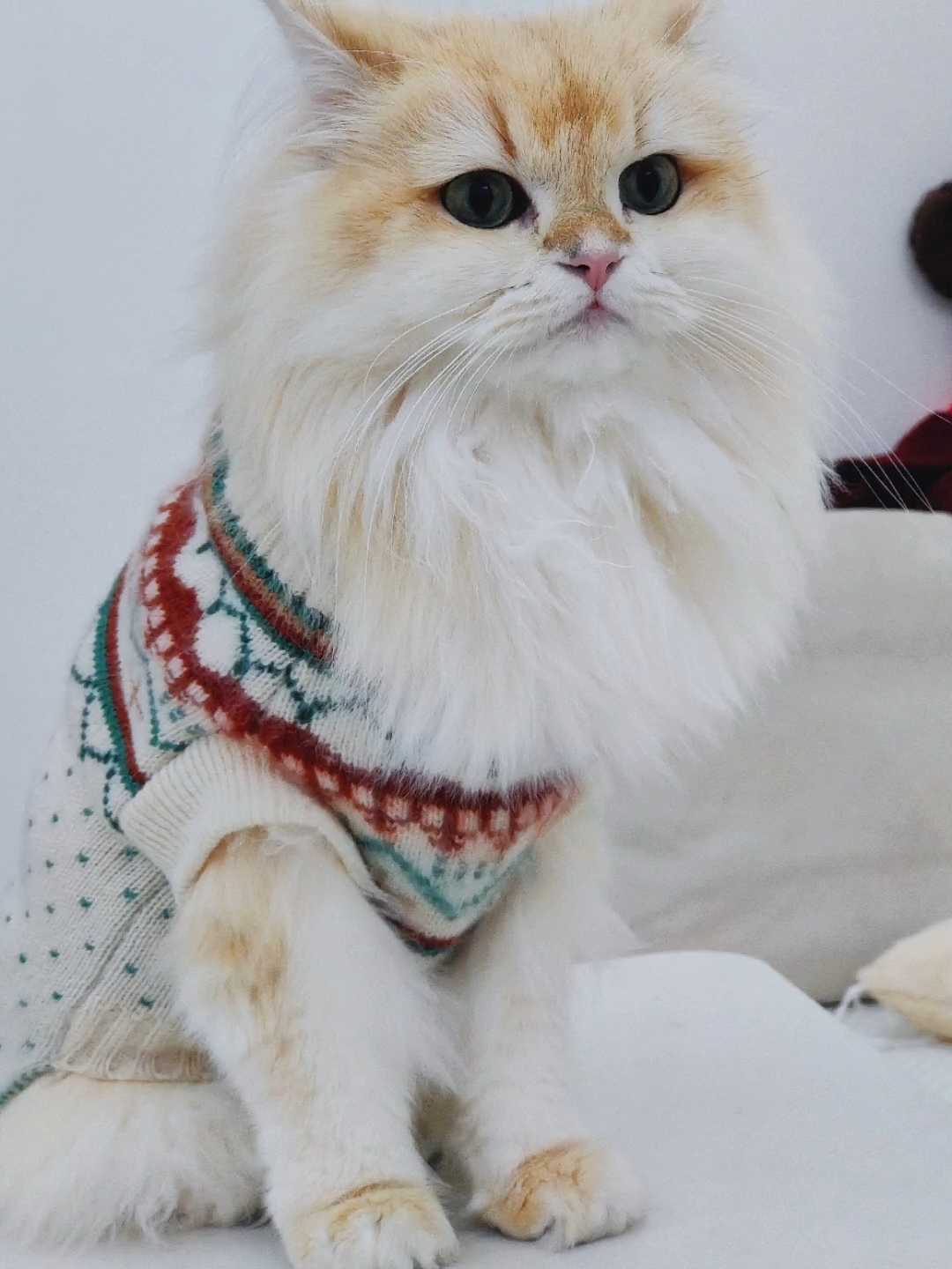 穿上衣服