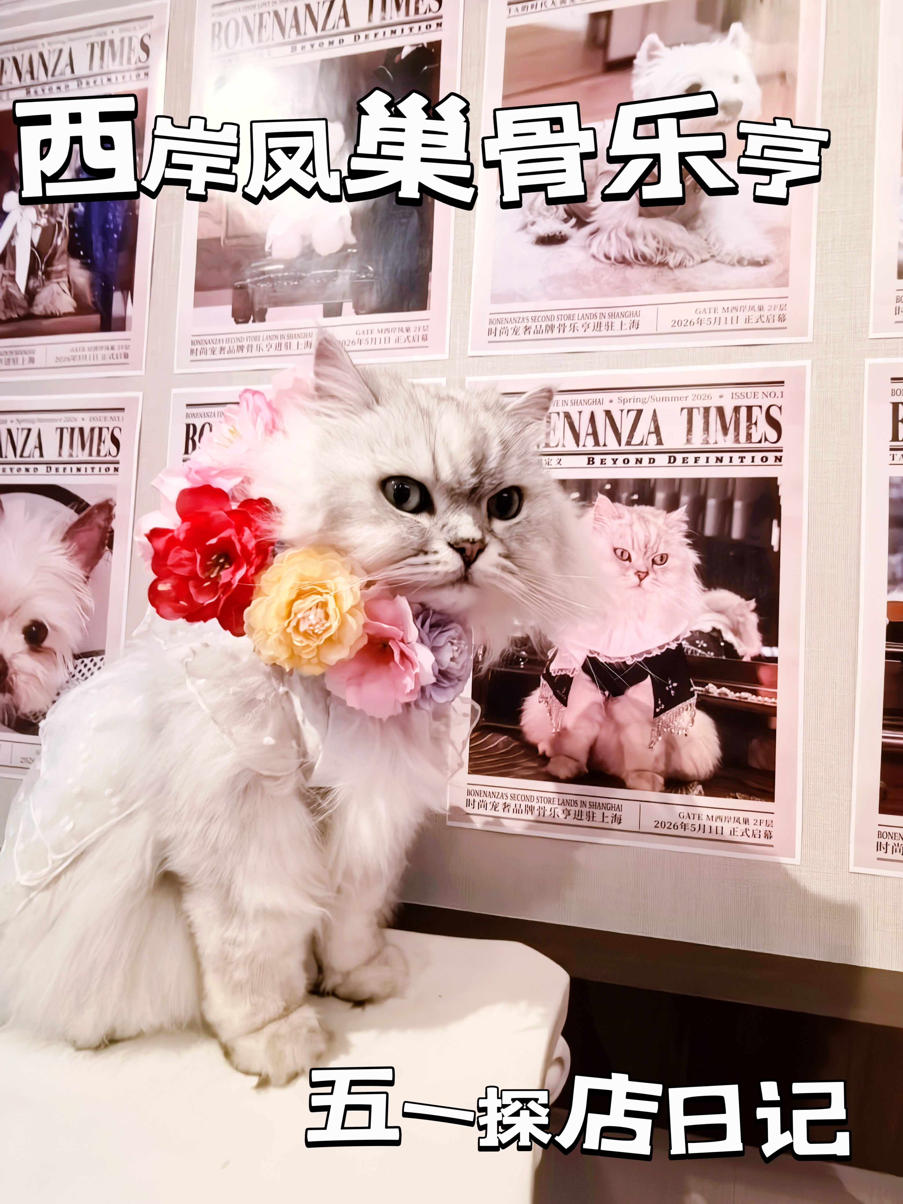 簪花小猫带你一镜到底沉浸式探店