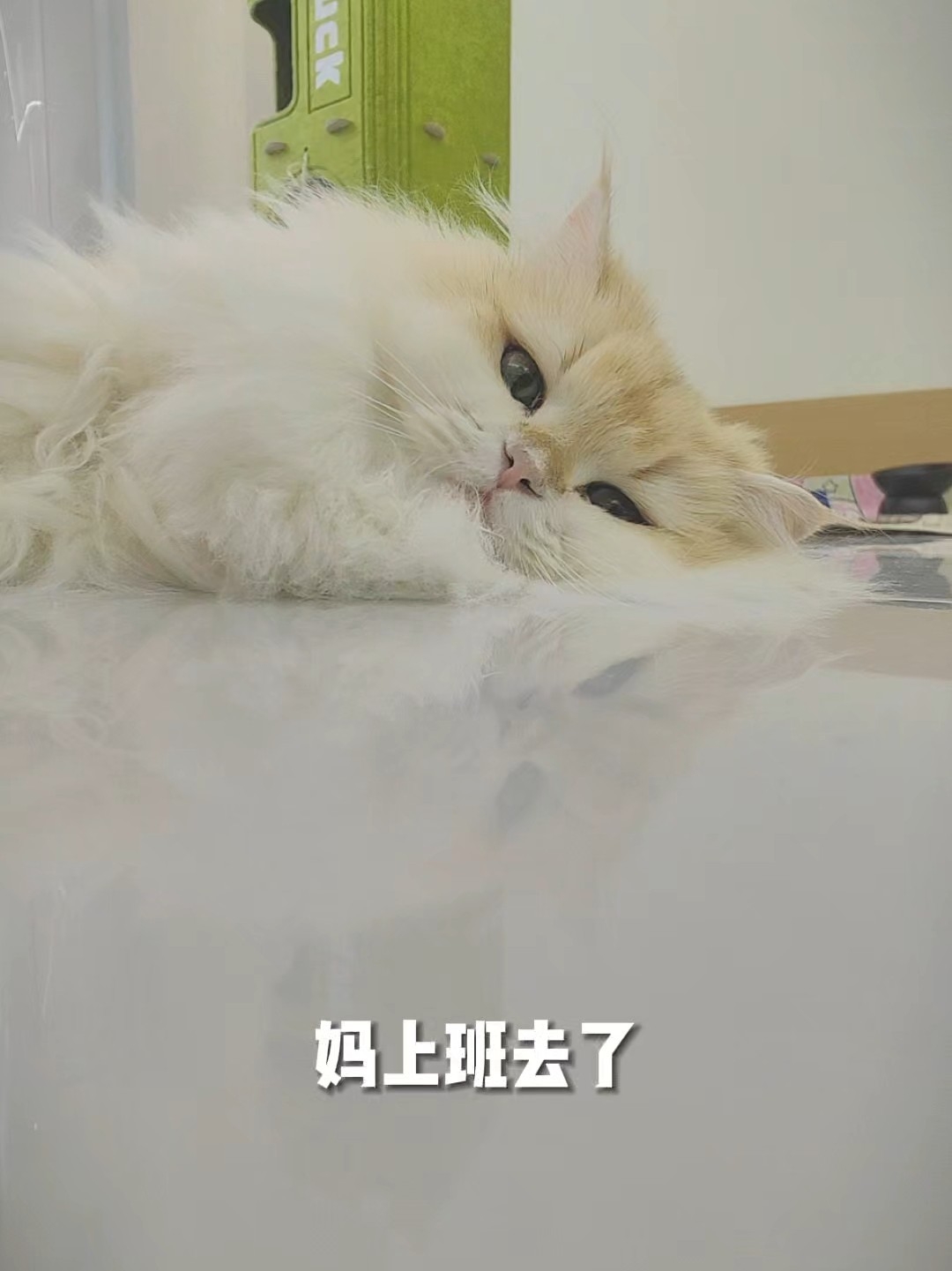 悠哉悠哉