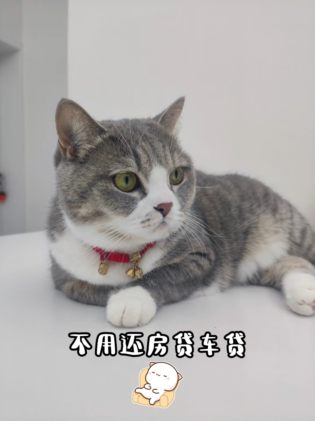 羡慕了