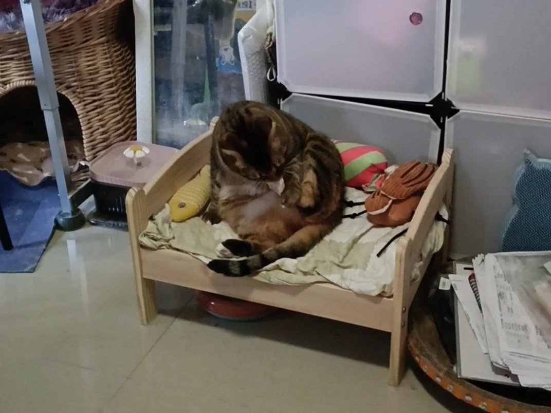 一大滩呢