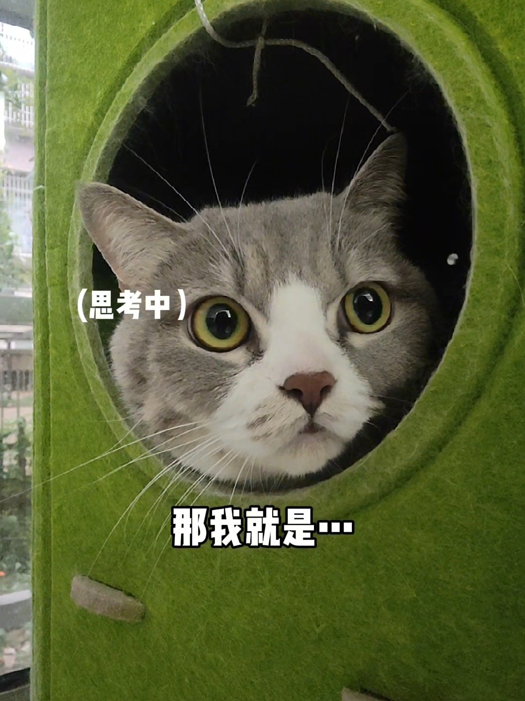 认真思考了