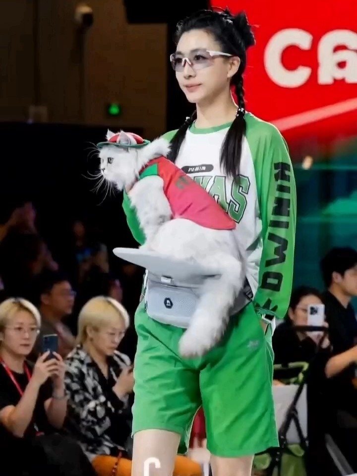 Petstar时尚猫主子︱它博会炸街走秀