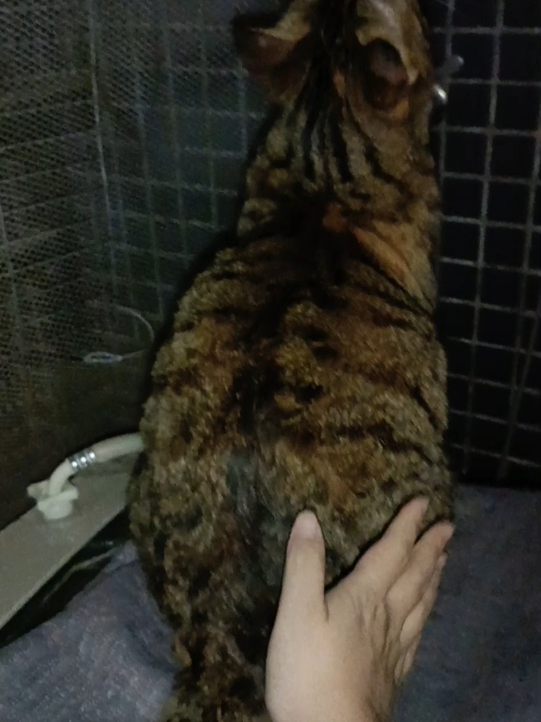 发现虫子了12