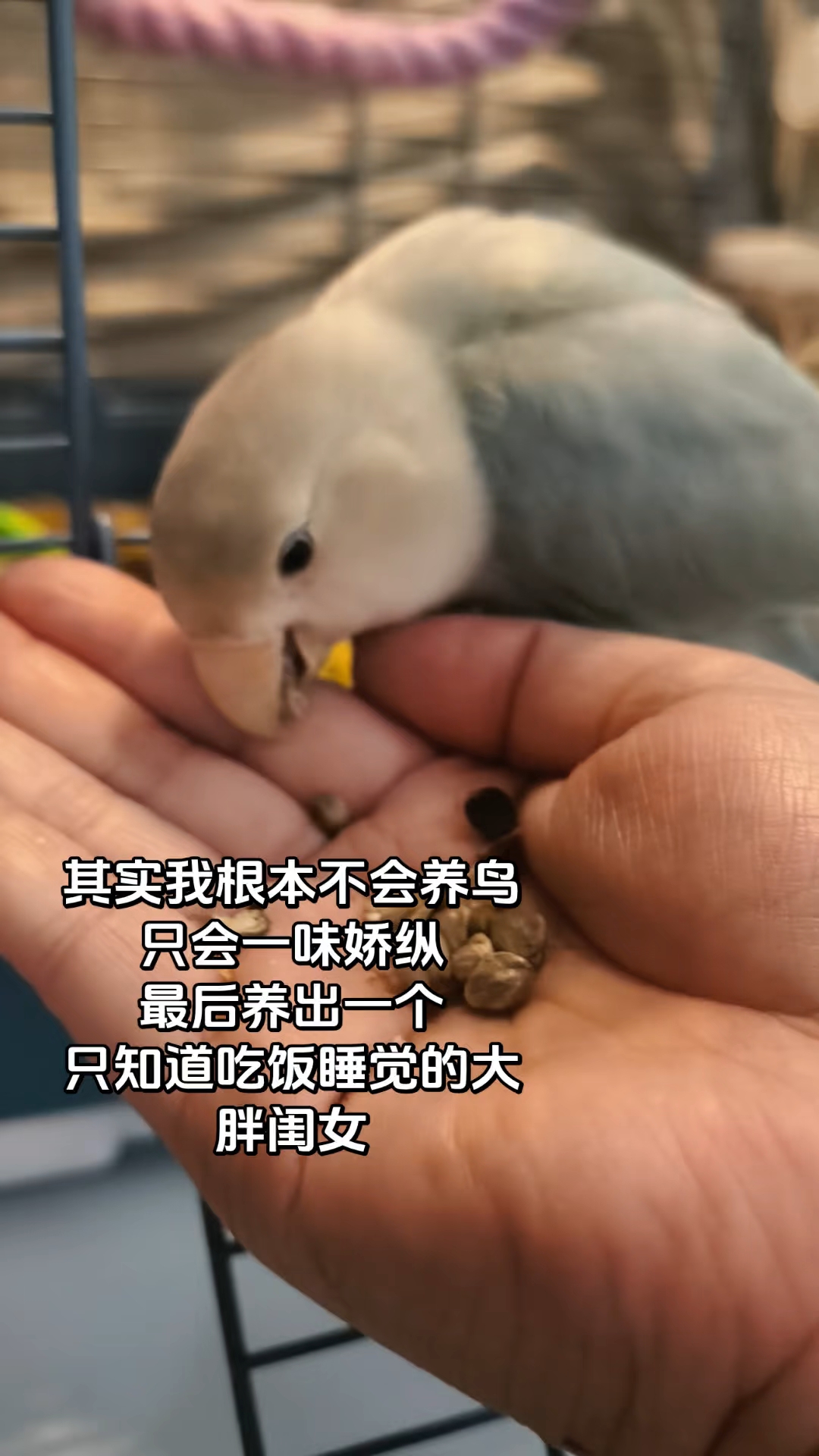 家人们，孩子还能管教吗……