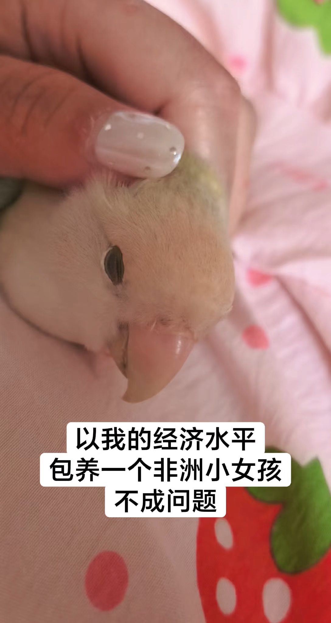 这就是实力～
