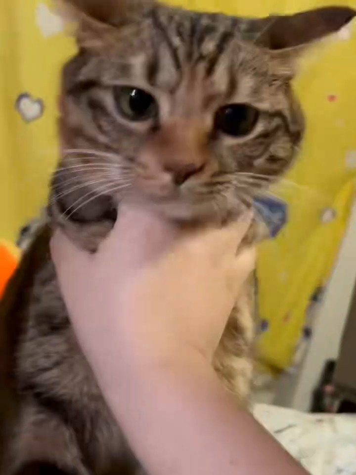 好玩