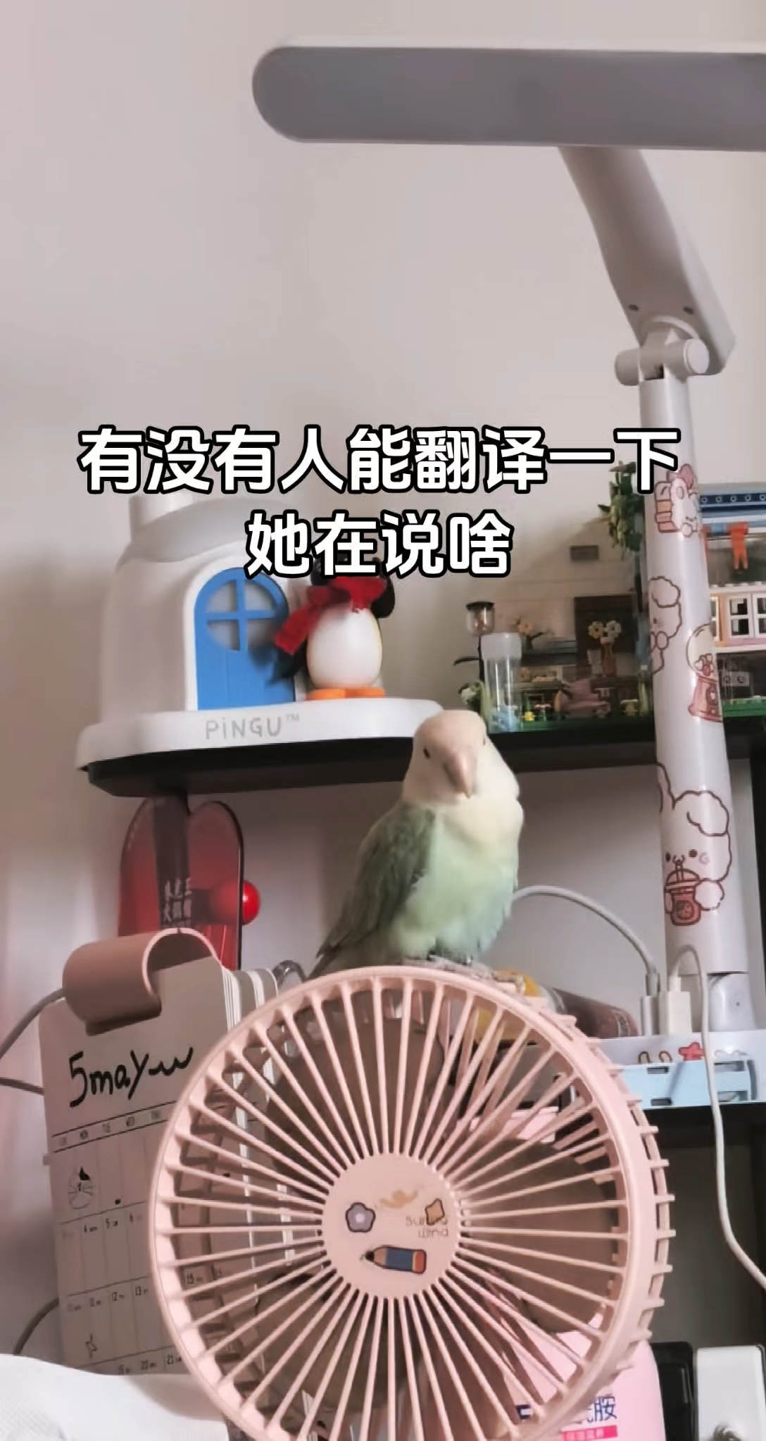 说了一串鸟语……