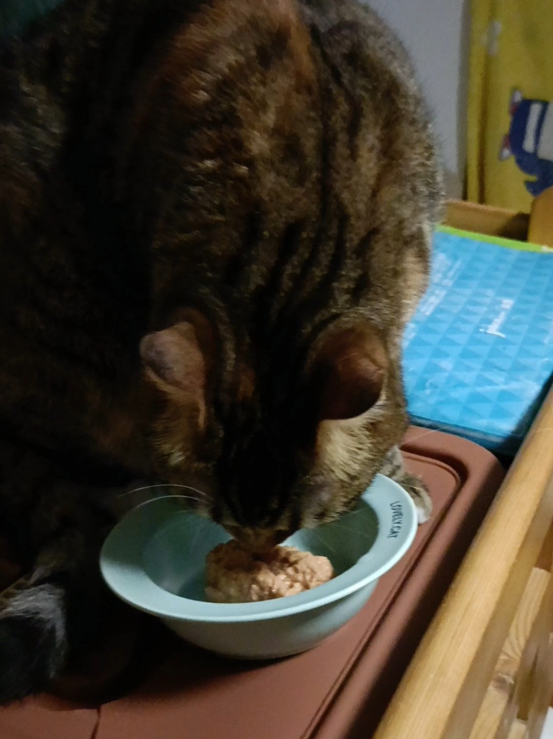 又挑食啦