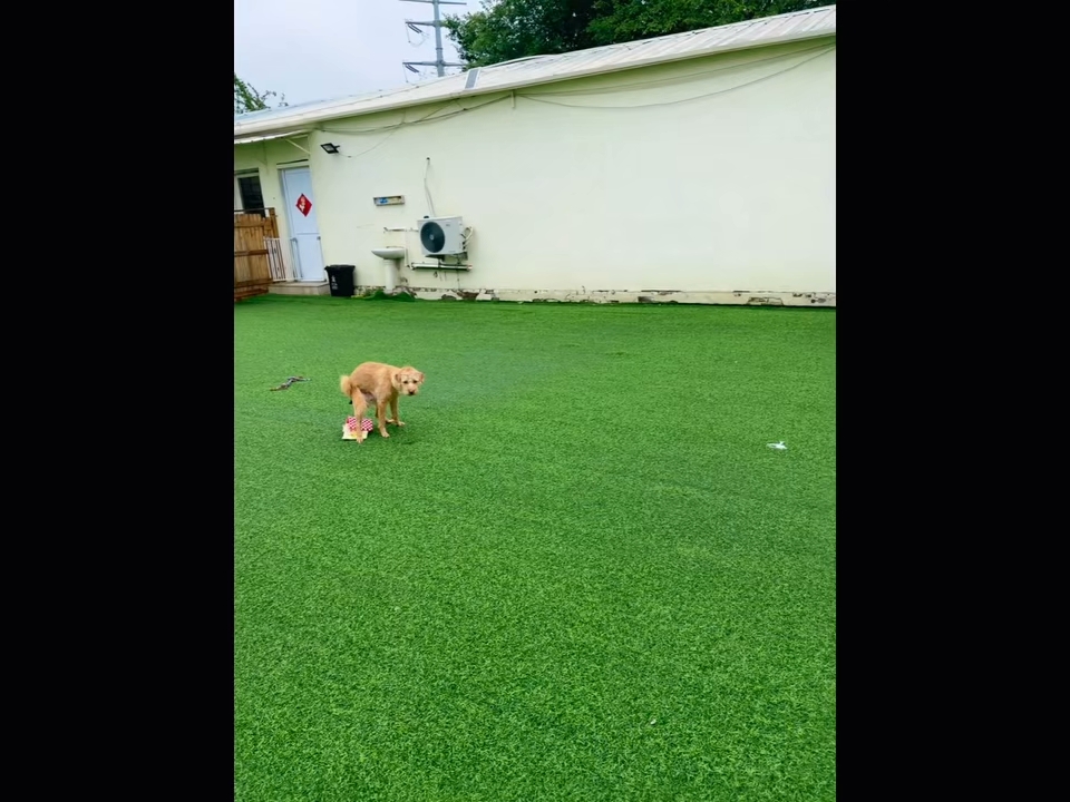 一般坏的我都不发