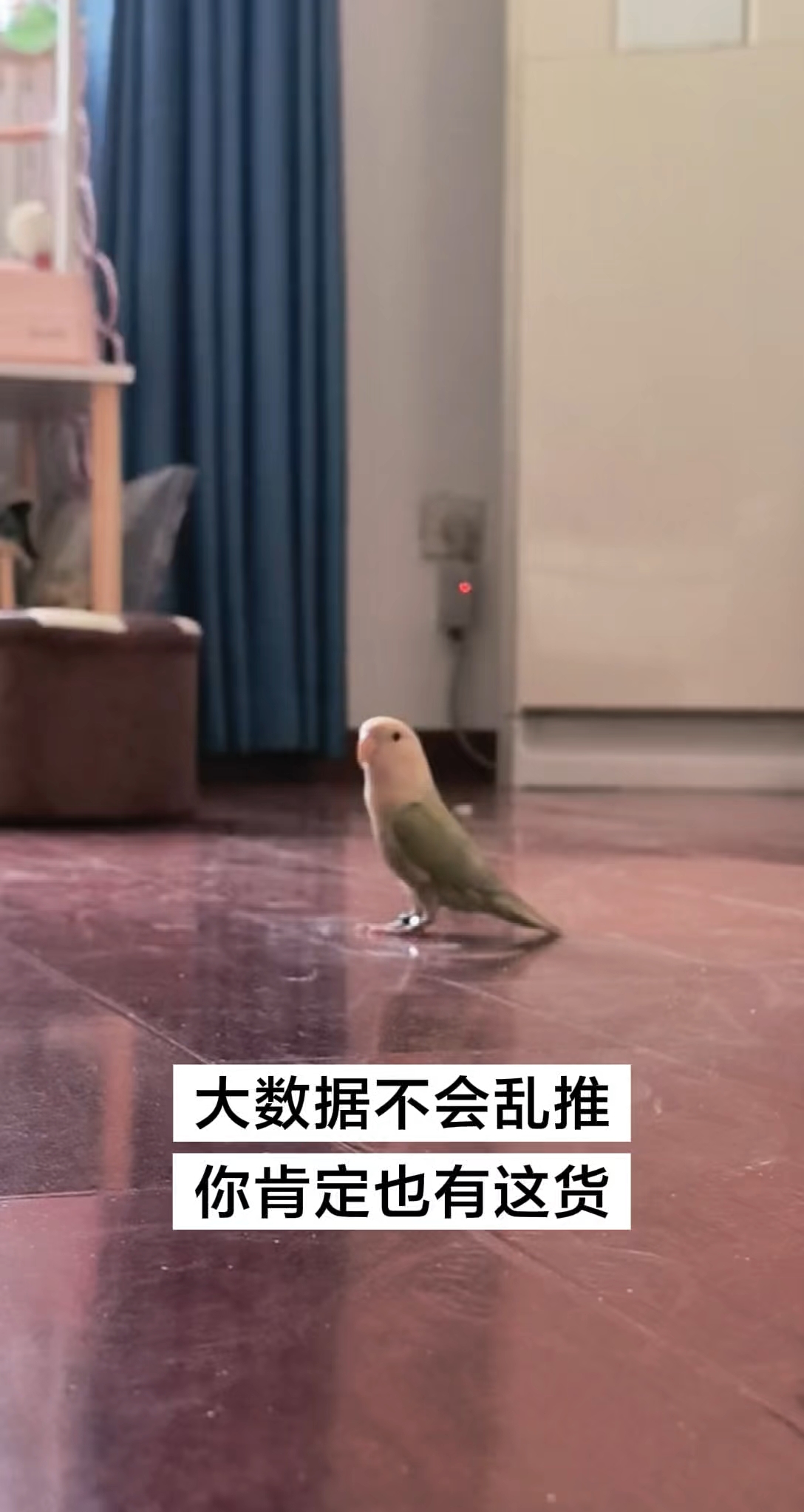 大数据不会乱推，你肯定也有这货