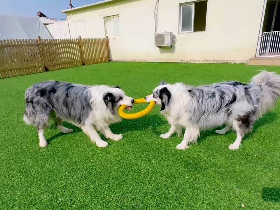 拔河啦