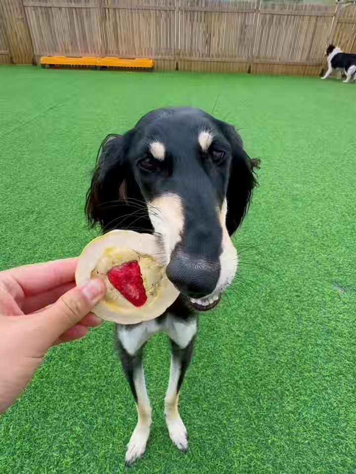 吃播现场