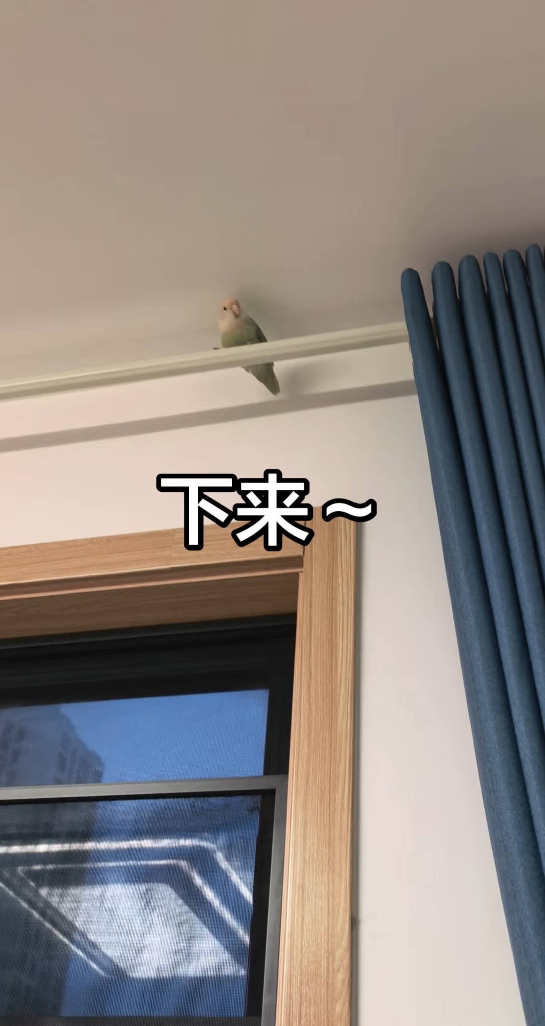 在家里 我就爱横着走～