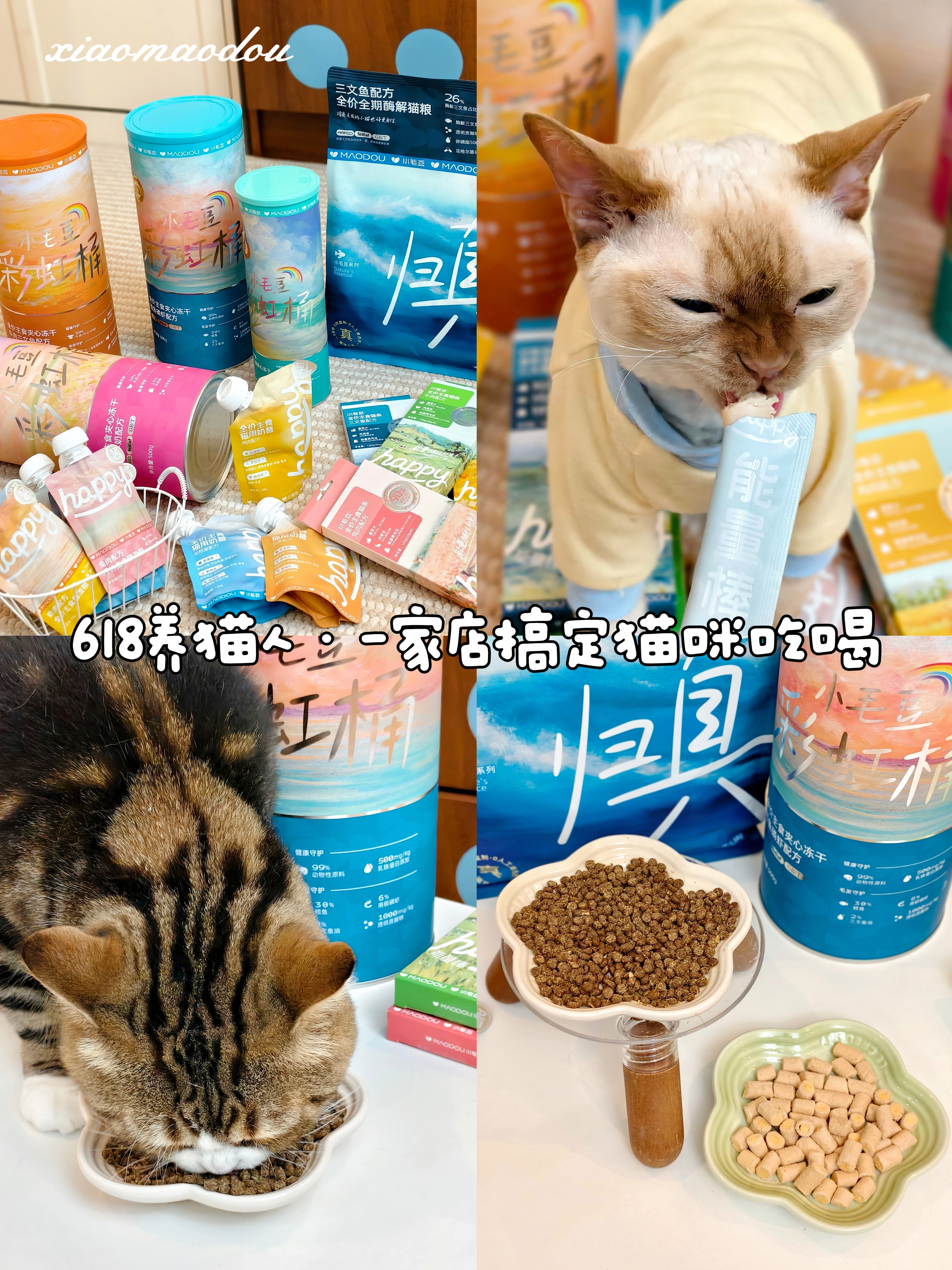 养猫人·一家店搞定猫咪吃喝
