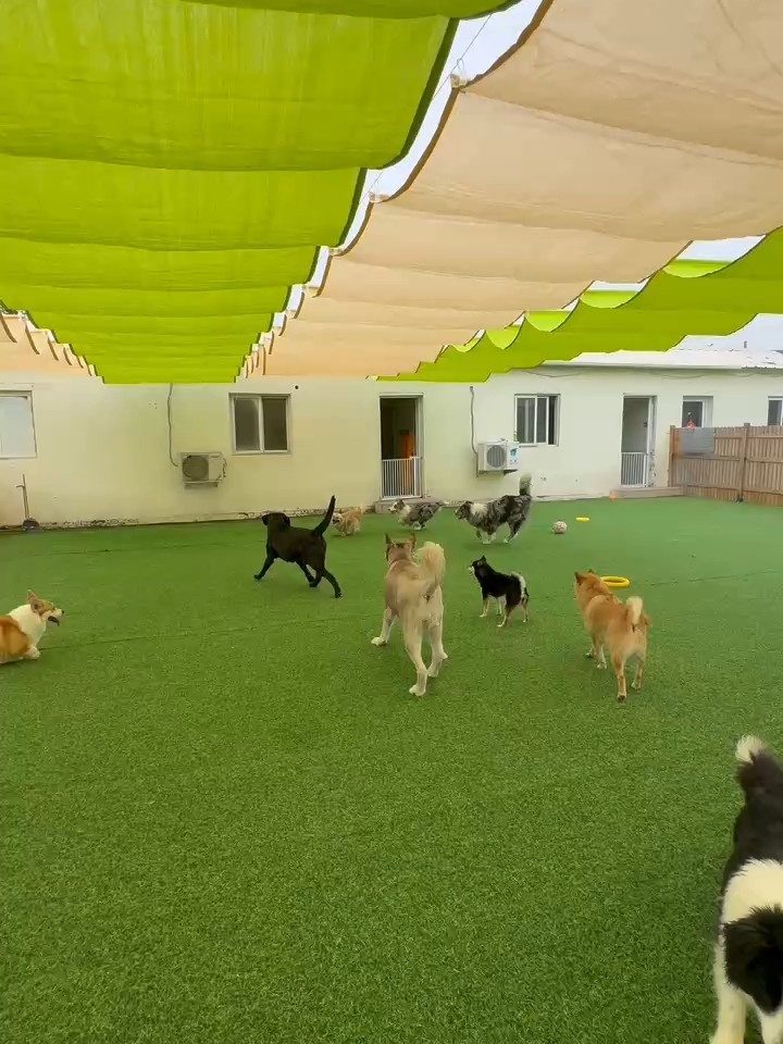 跑酷现场