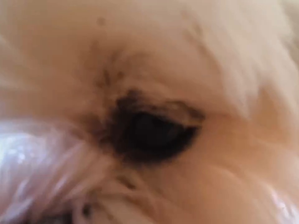 吃播上线了