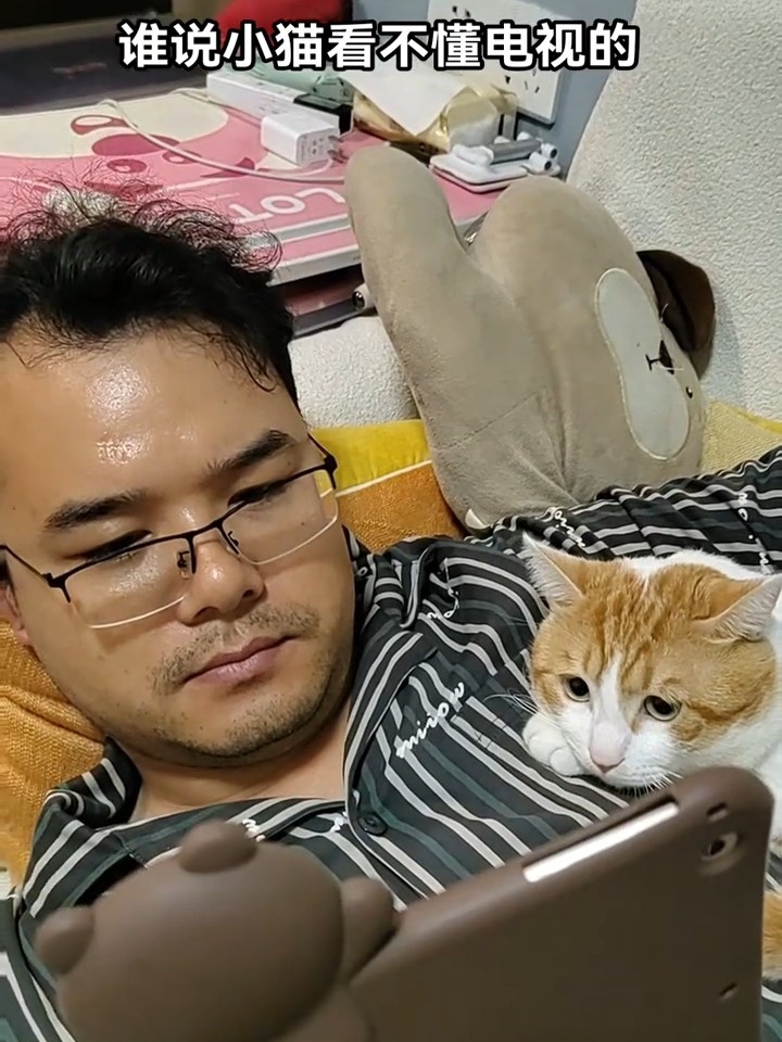 小猫也喜欢看电视