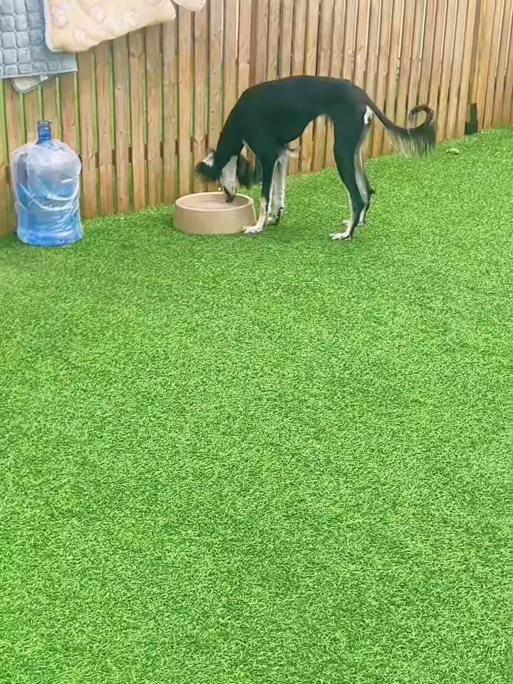 喝水之前先洗手哈哈哈