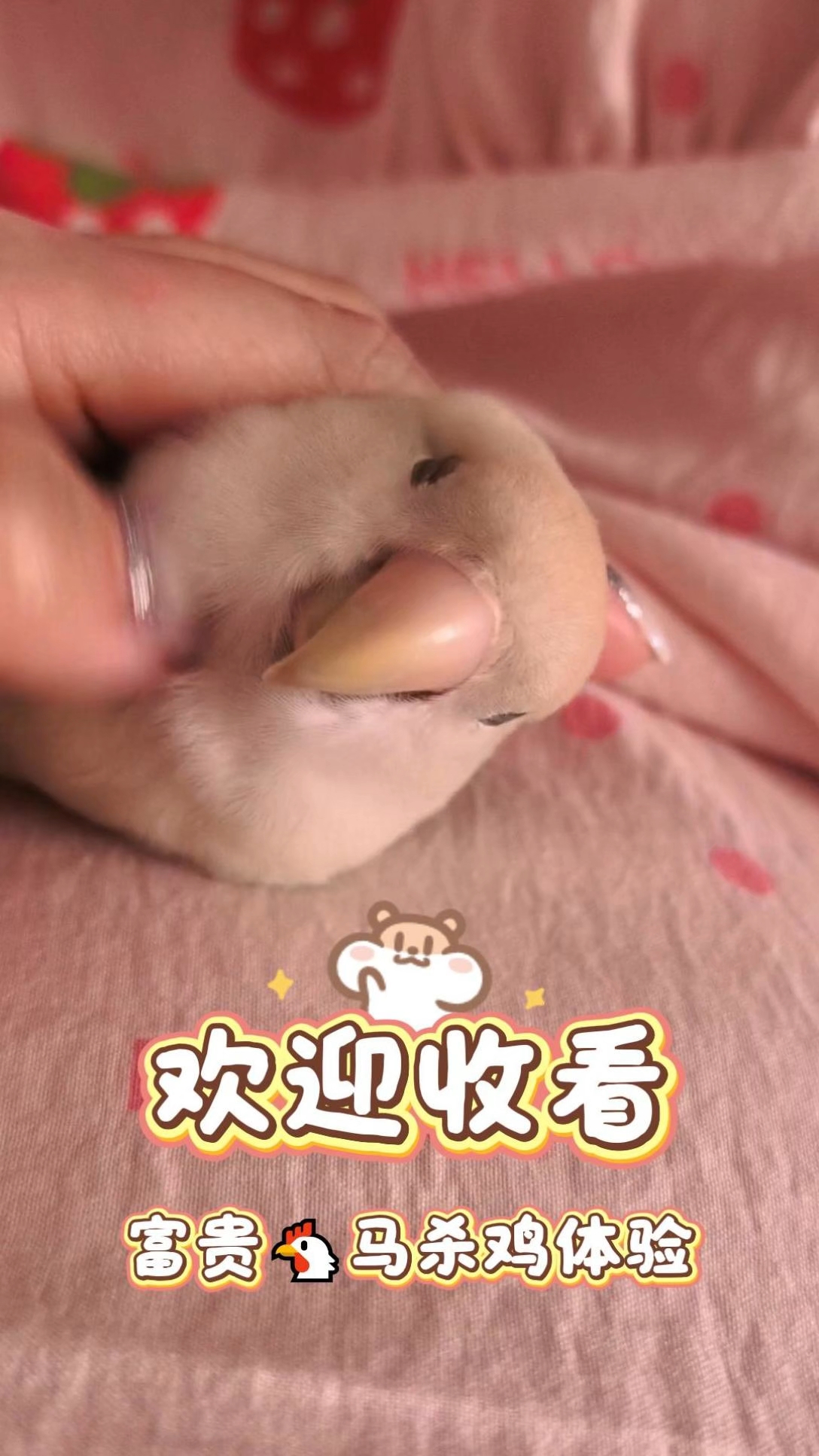 人～叽表示很满意～